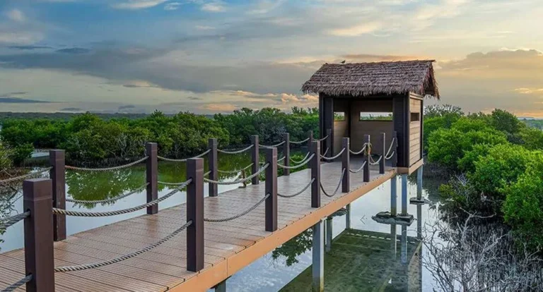 A wooden boardwalk with rope railings leads to a thatched-roof hut overlooking calm water, surrounded by lush green vegetation under a partly cloudy sunset sky—one of the most instagrammable places in Doha.