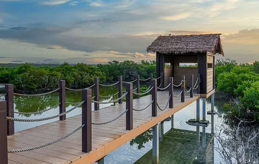 A wooden boardwalk with rope railings leads to a thatched-roof hut overlooking calm water, surrounded by lush green vegetation under a partly cloudy sunset sky—one of the most instagrammable places in Doha.
