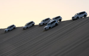 Half Day Desert Safari