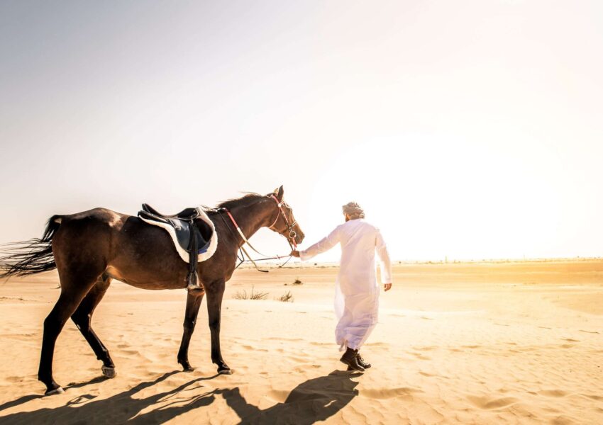 Desert Safari Qatar - Horse View Sunrise