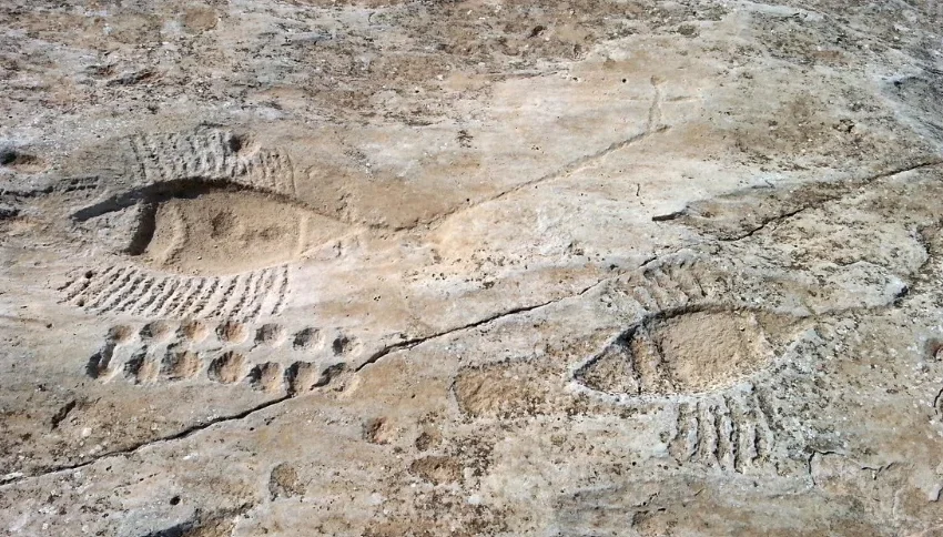 Two large fish shapes, part of the Al Jassasiya rock carvings, are etched into a flat rock surface. Each is outlined with grooves and lines for fins, partly filled with sand; the ancient carvings appear weathered and timeless.