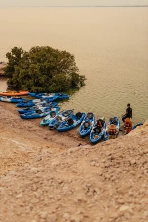 Several blue and one orange kayak are lined up on the shore of a calm body of water at Camping at Purple Island. A few people stand nearby, and a small green tree grows by the water’s edge under an overcast sky.