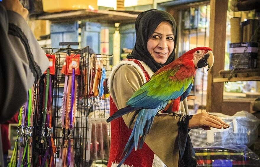 Treasure Hunt in Souq Qatar View