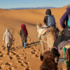 qatar desert safari packages