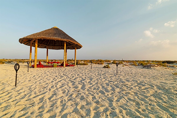 Hidden Culinary Escape to Safliya Island