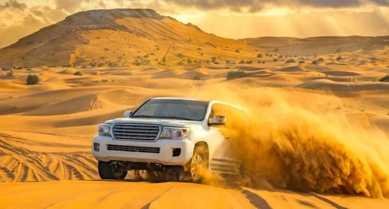 Dune Bashing Qatar
