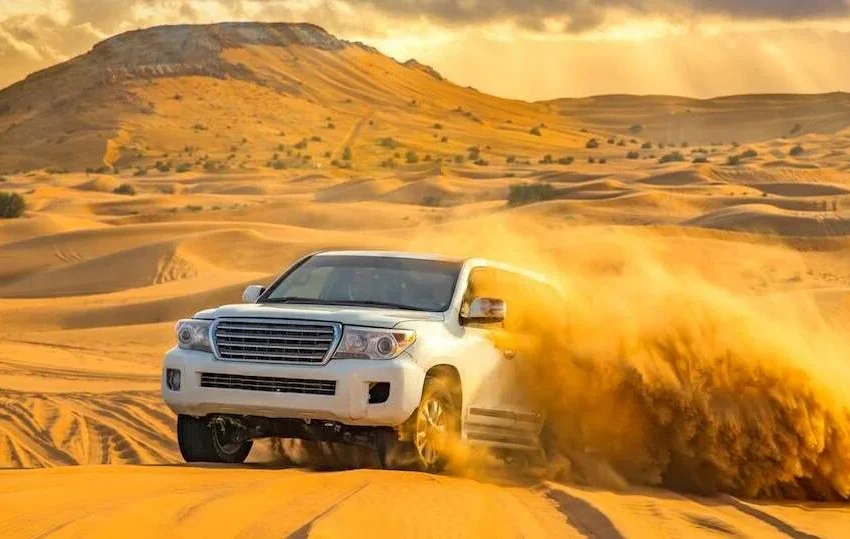 Dune Bashing Qatar