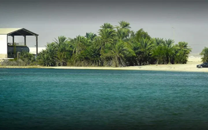A calm turquoise body of water in the foreground, with a sandy shore lined by lush green palm trees and a small building on the left side under a hazy sky—this serene view captures the tranquil charm of Umm Bab Beach.