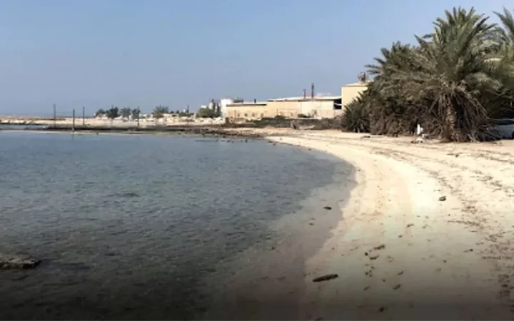 A sandy beach curves along the calm, clear water at Umm Bab Beach, with palm trees and industrial buildings in the background under a clear sky.