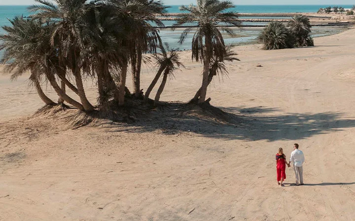 A couple walks hand in hand on the sandy shores of Umm Bab Beach near a cluster of palm trees, with the ocean and a distant treeline in the background under a clear sky.