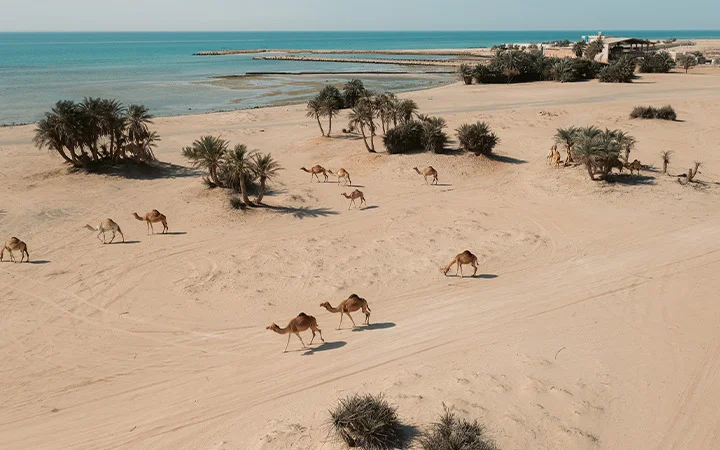 Umm Bab Beach