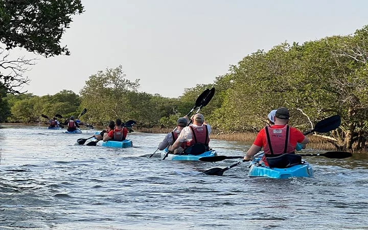 A group of people wearing life vests paddle blue kayaks along a calm, narrow river lined with green trees and shrubs, enjoying kayaking at sunrise under a clear sky.