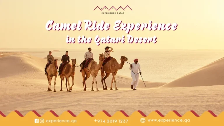 Camel Ride Experience