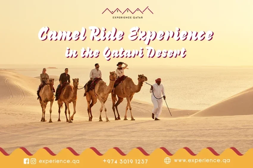 Camel Ride Experience