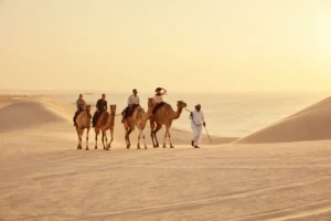Desert Safari Experience with Lunch/Dinner at Outpost Al Barari
