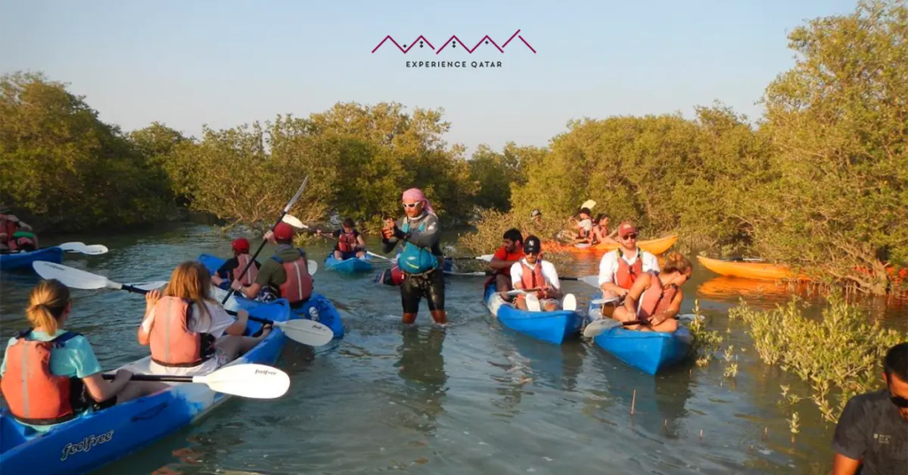 mangrove kayaking qatar
