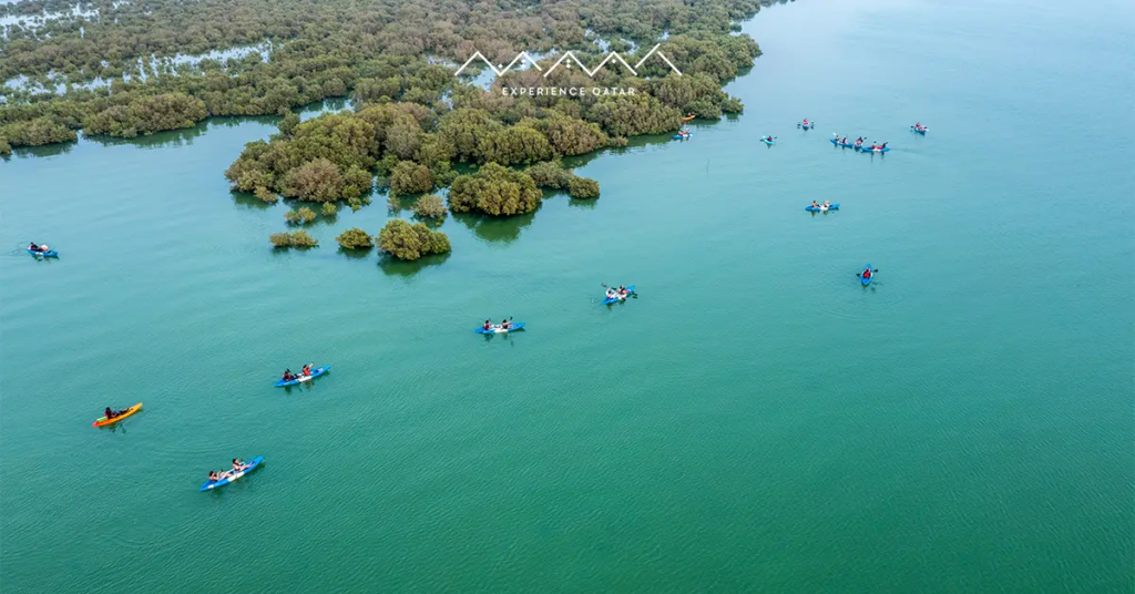 mangrove kayaking qatar